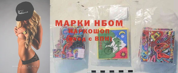 крисы Надым