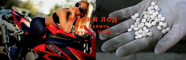 крисы Надым