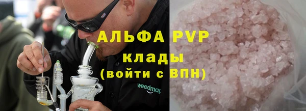крисы Надым
