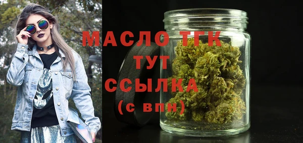 крисы Надым