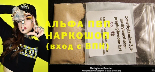 крисы Надым
