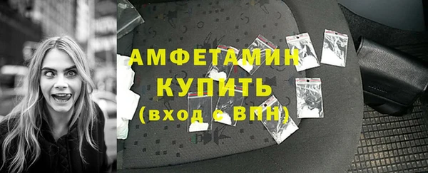 крисы Надым