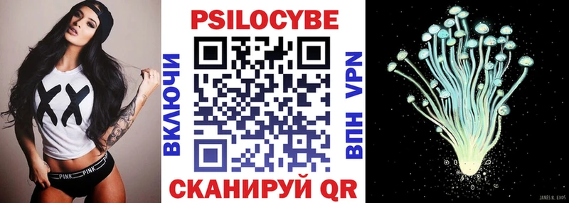 Псилоцибиновые грибы мицелий  наркотики  Майкоп 