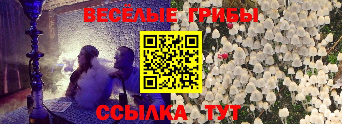 где можно купить   Майкоп  Псилоцибиновые грибы прущие грибы 