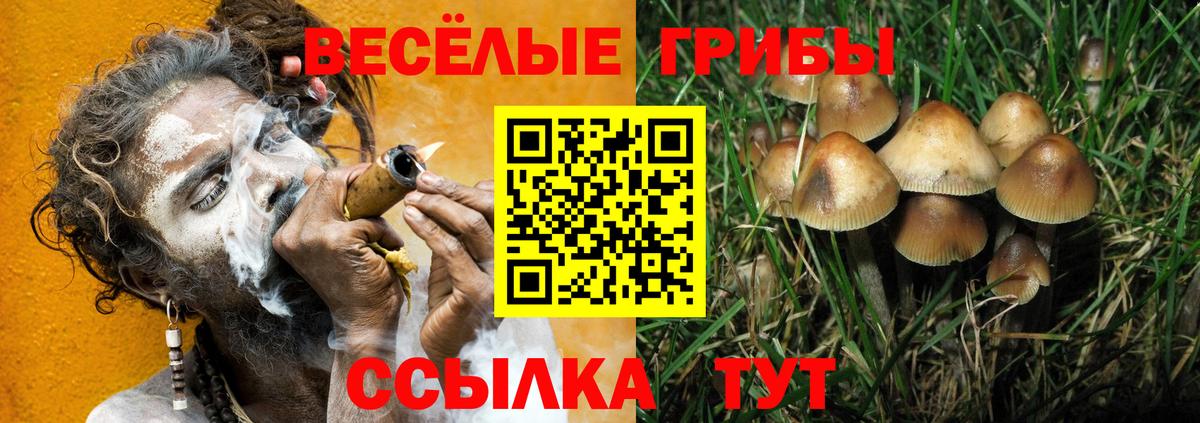 Конопля Майкоп