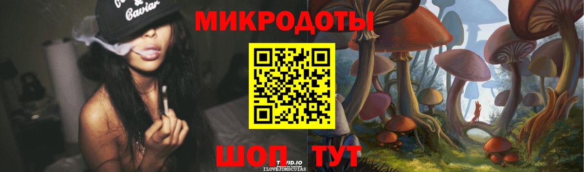 купить наркоту  Вход с VPN  Майкоп  Псилоцибиновые грибы Psilocybine cubensis 